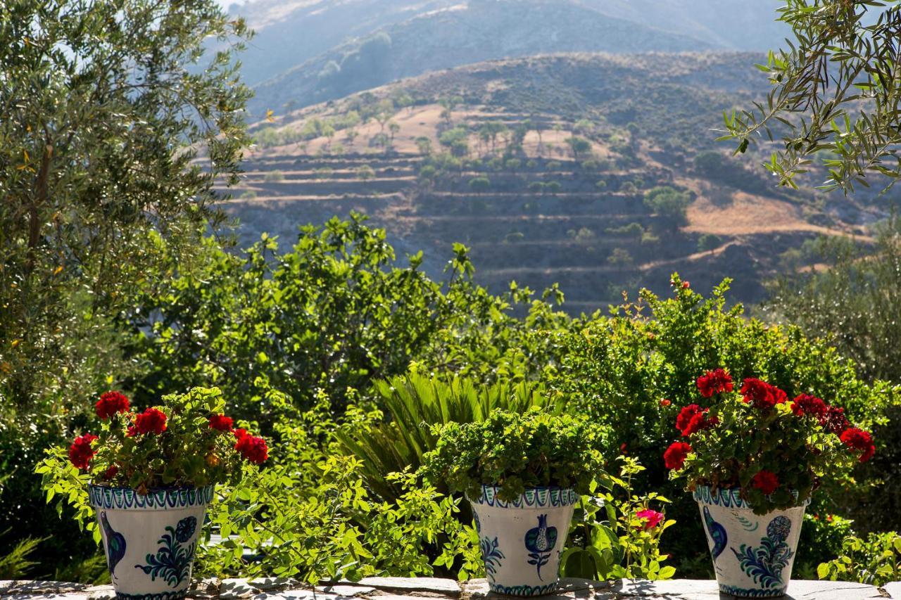 La Almunia Del Valle Monachil Ngoại thất bức ảnh